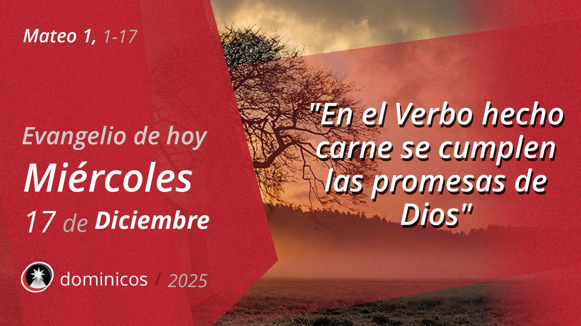 Evangelio de hoy en vídeo