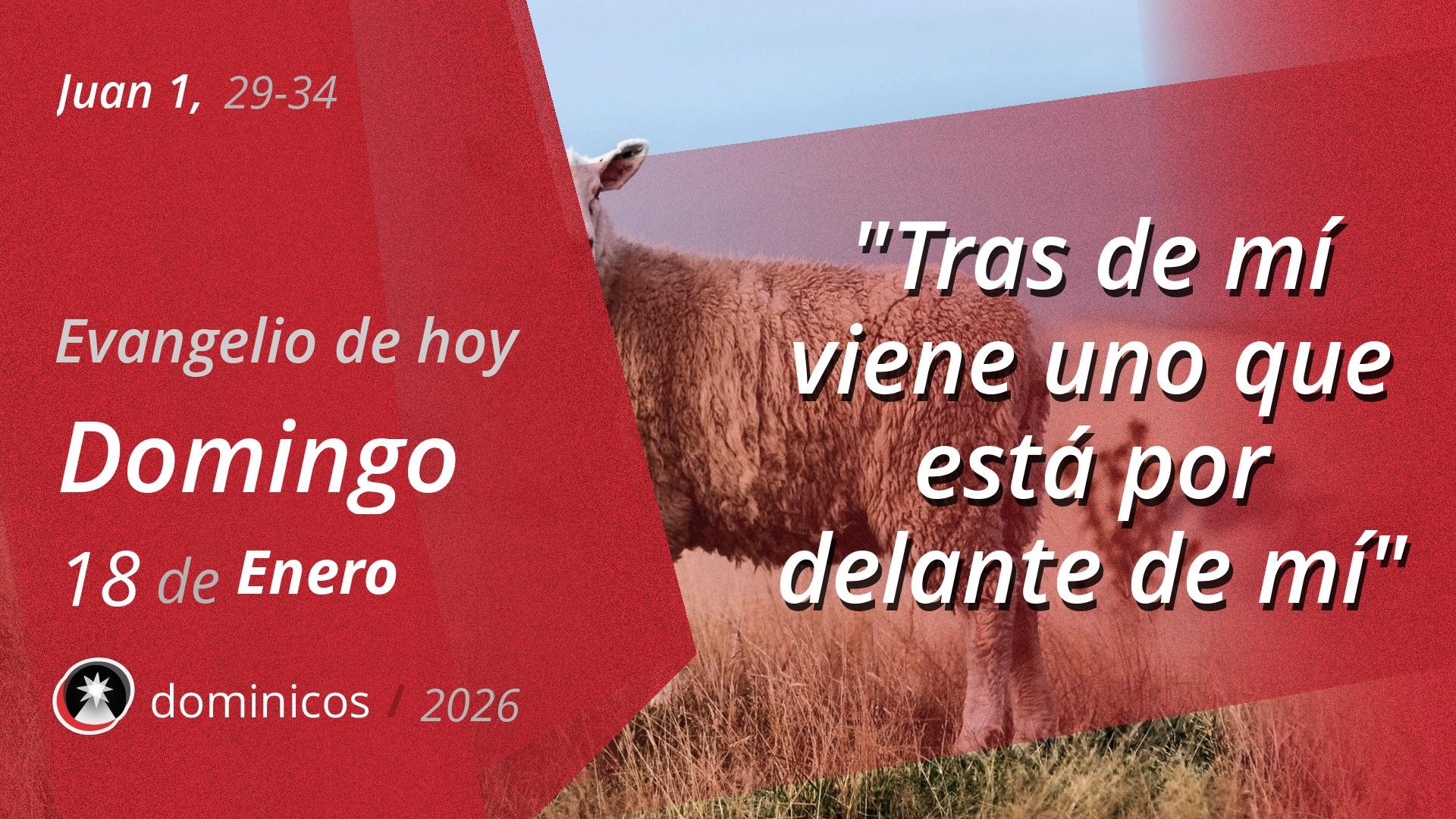 Evangelio de hoy en vídeo