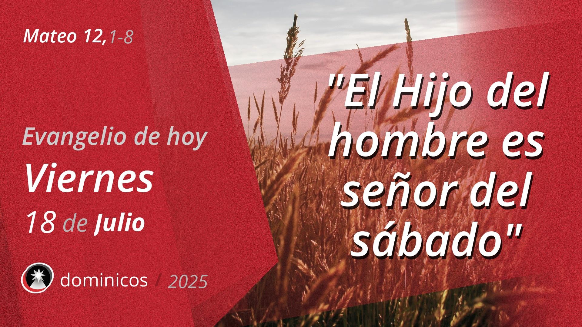 Evangelio de hoy en vídeo