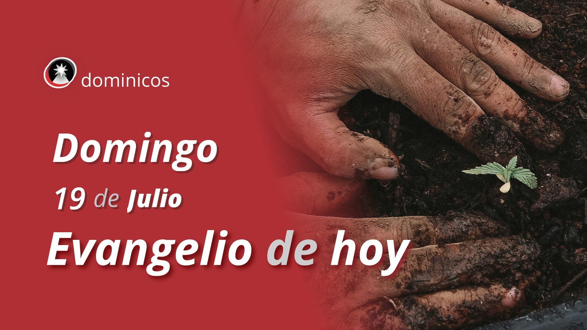 Evangelio de hoy en vídeo