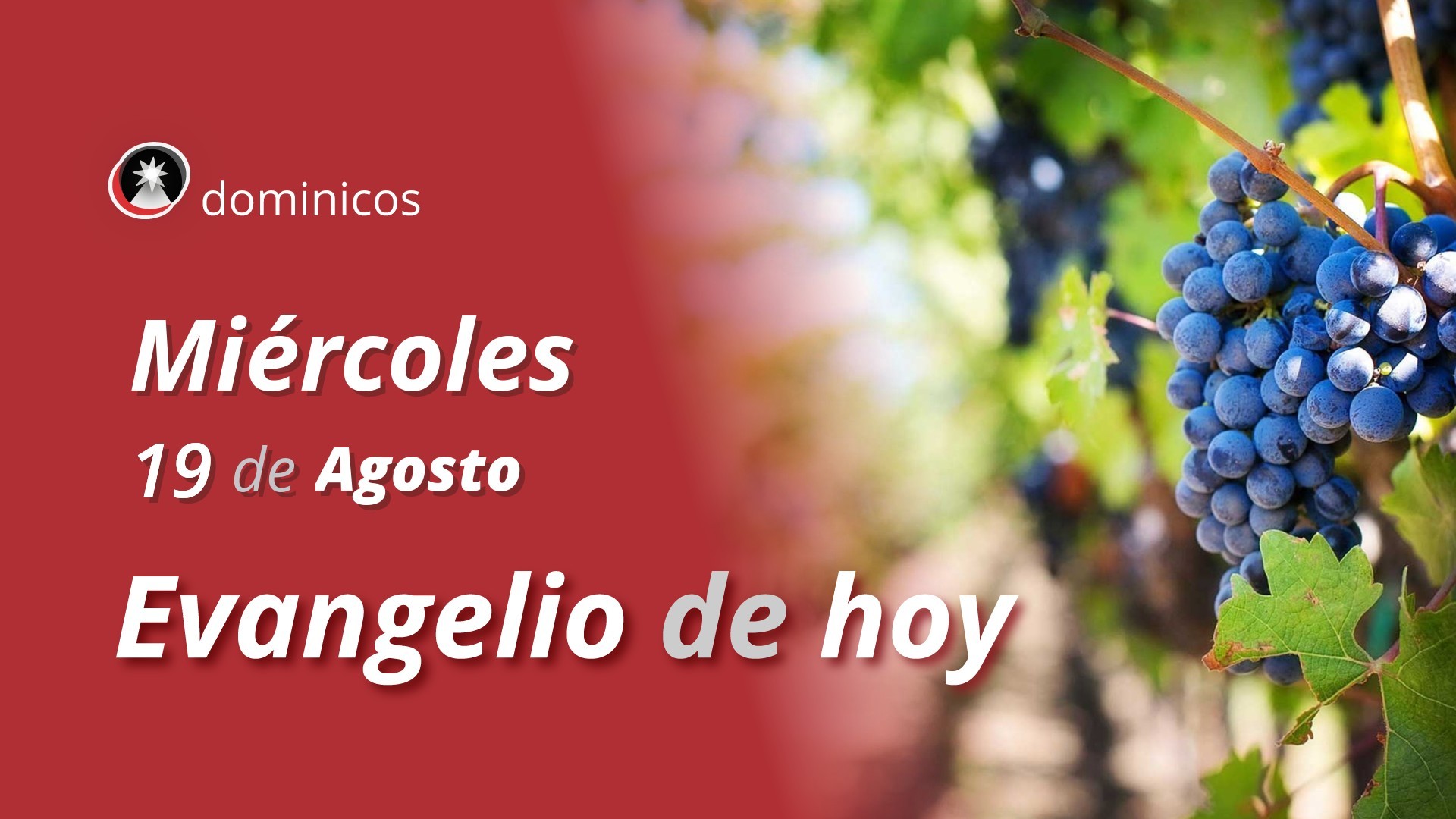 Evangelio de hoy en vídeo