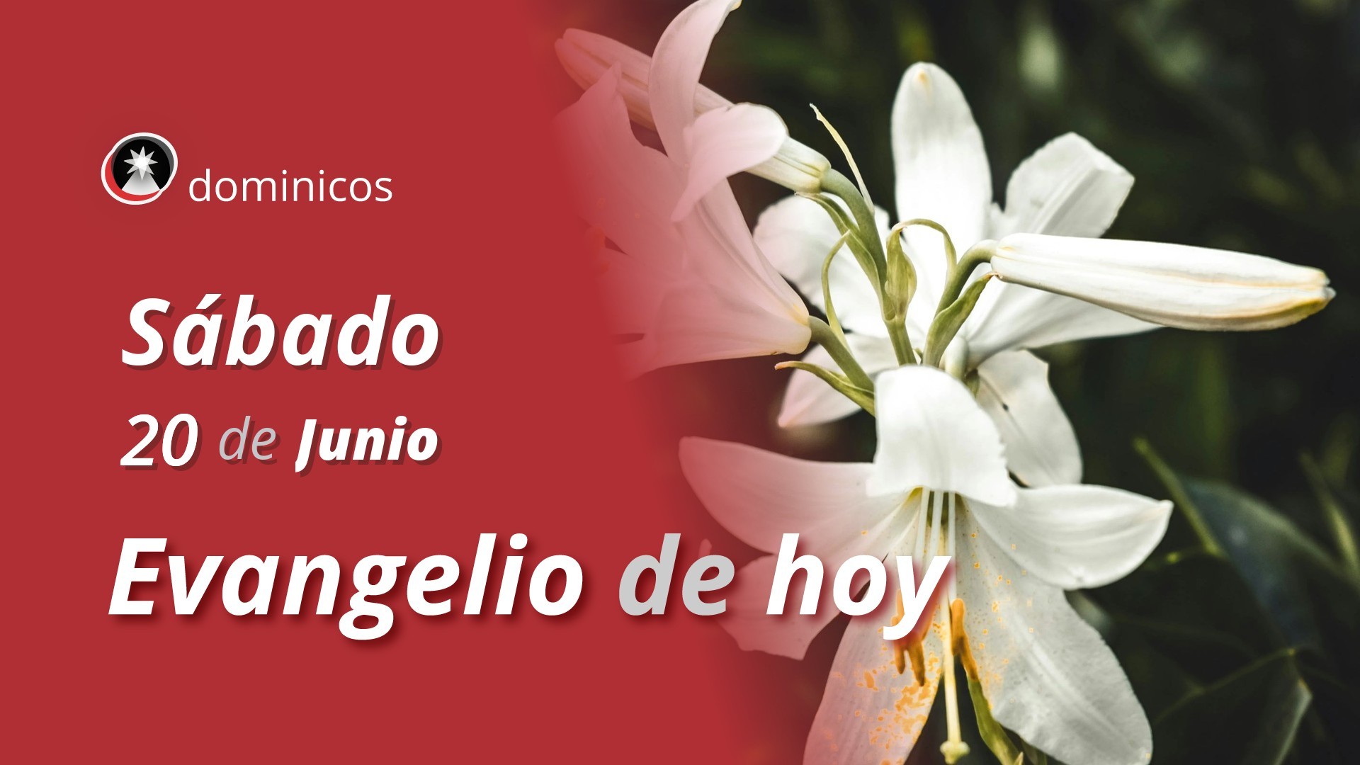 Evangelio de hoy en vídeo