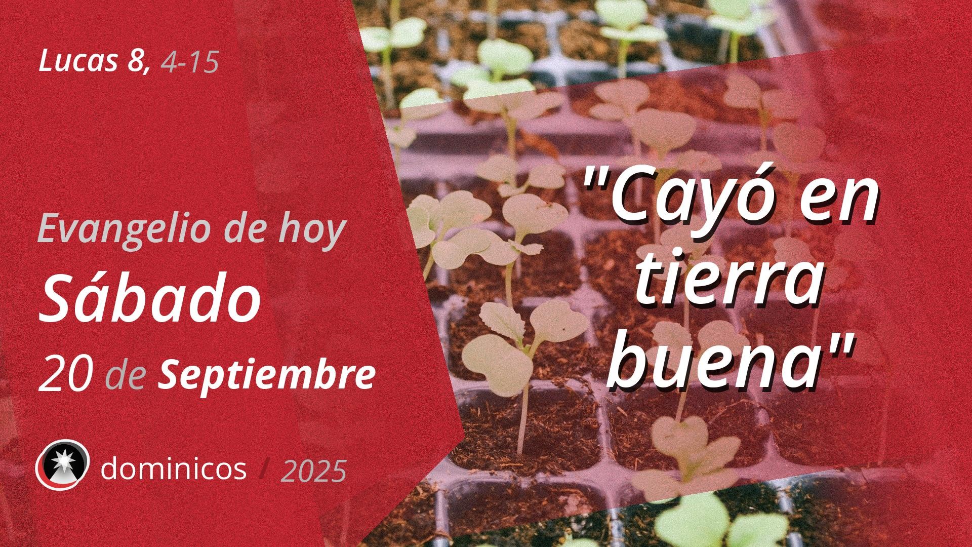 Evangelio de hoy en vídeo