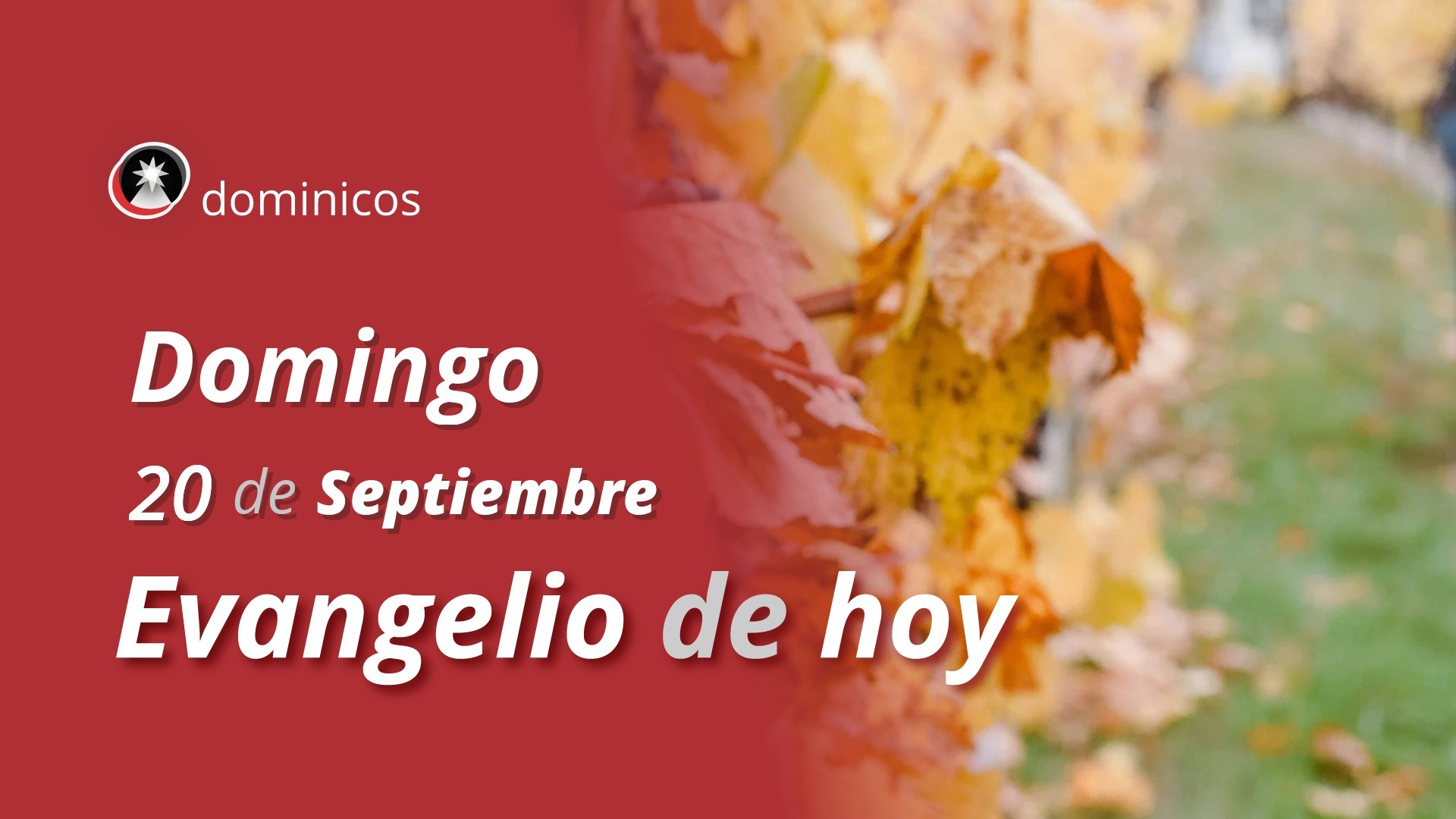 Evangelio de hoy en vídeo