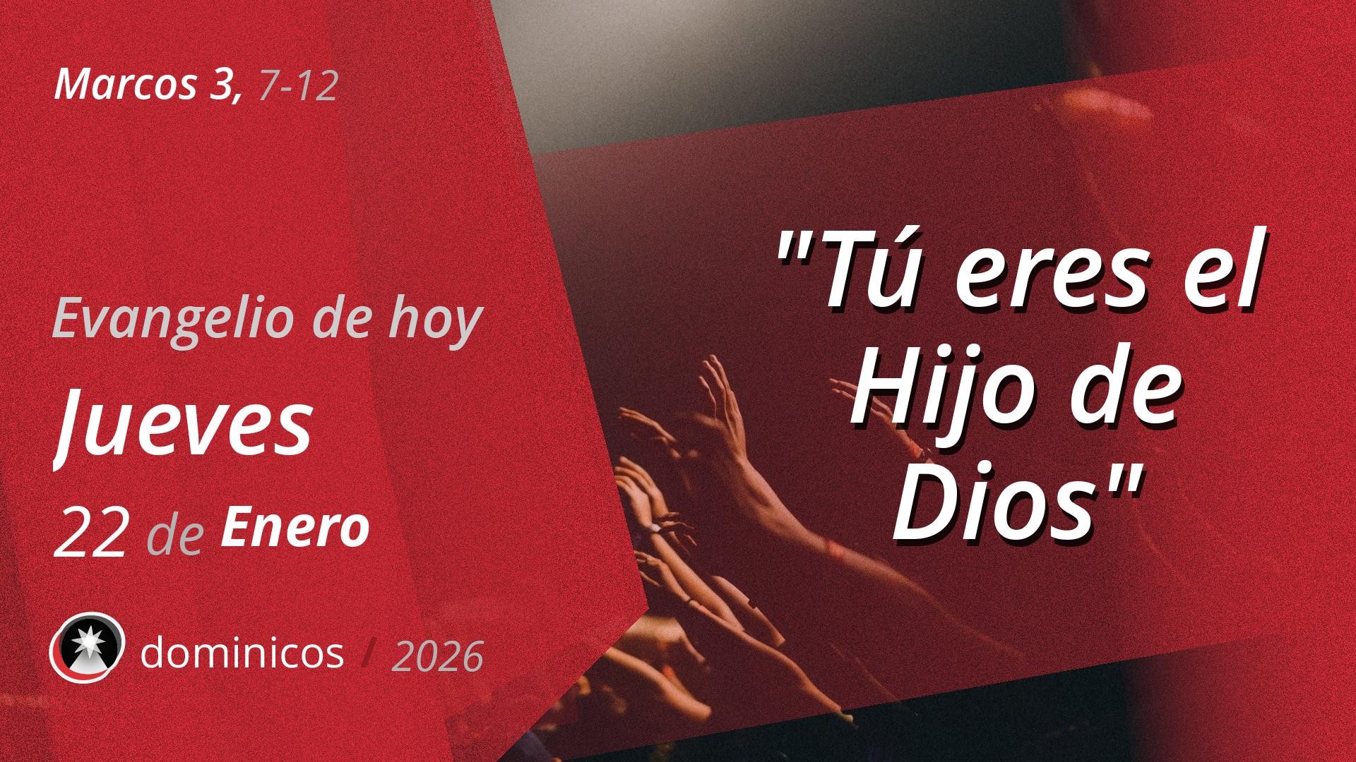 Evangelio de hoy en vídeo