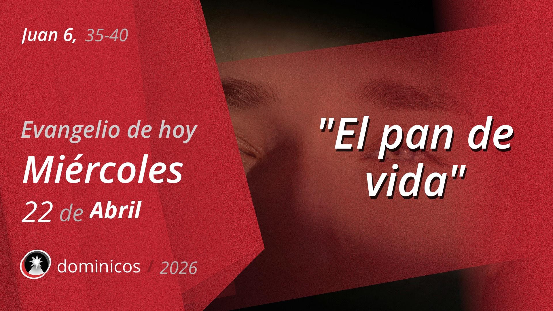 Evangelio de hoy en vídeo