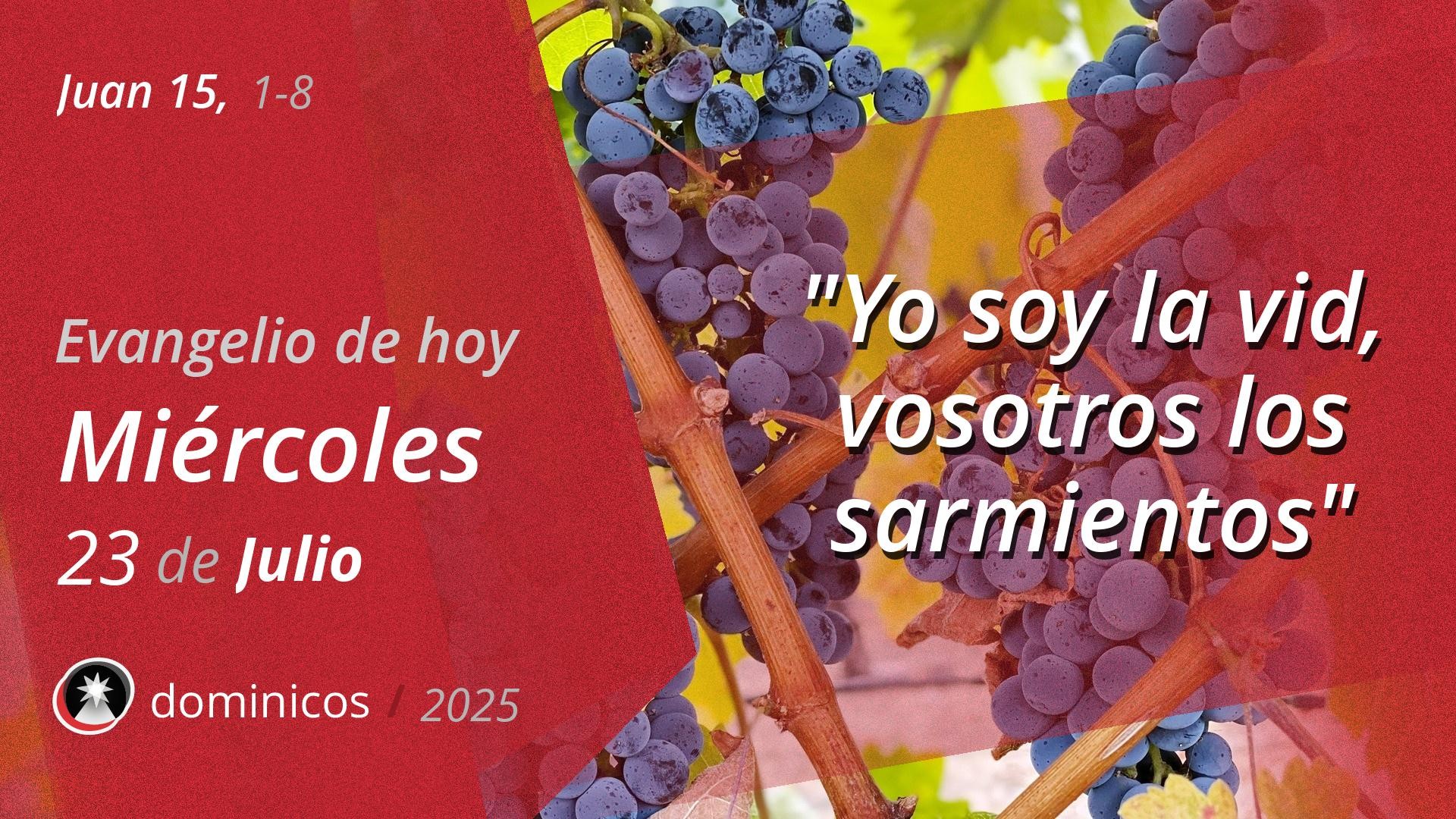 Evangelio de hoy en vídeo