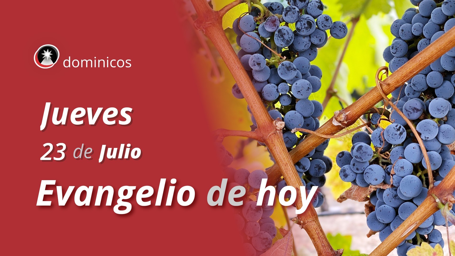 Evangelio de hoy en vídeo