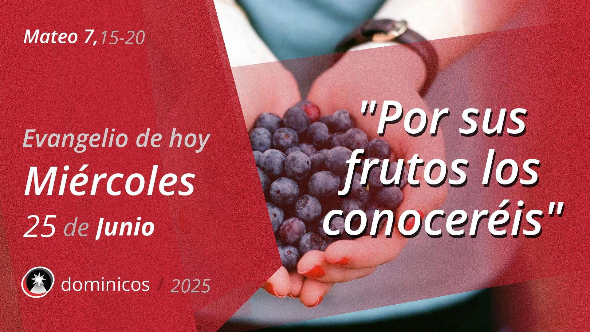 Evangelio de hoy en vídeo