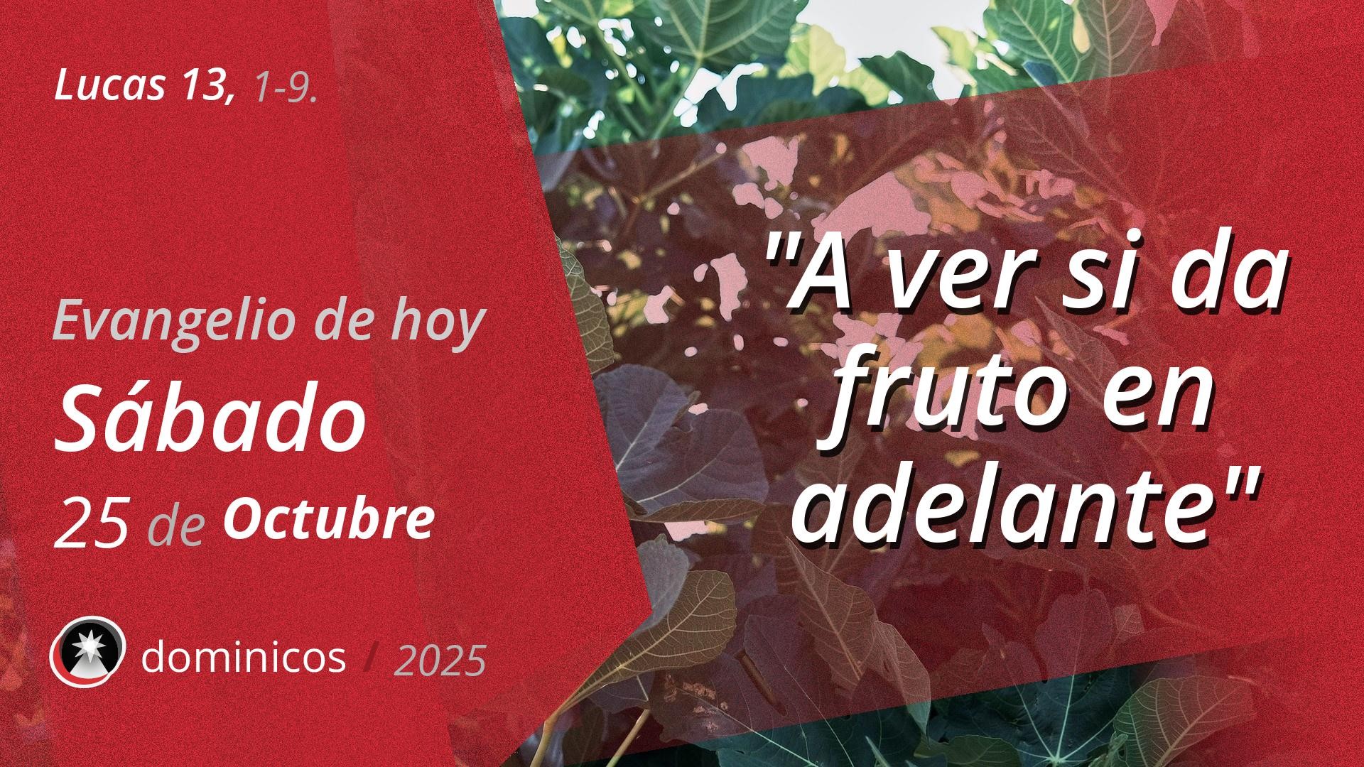 Evangelio de hoy en vídeo