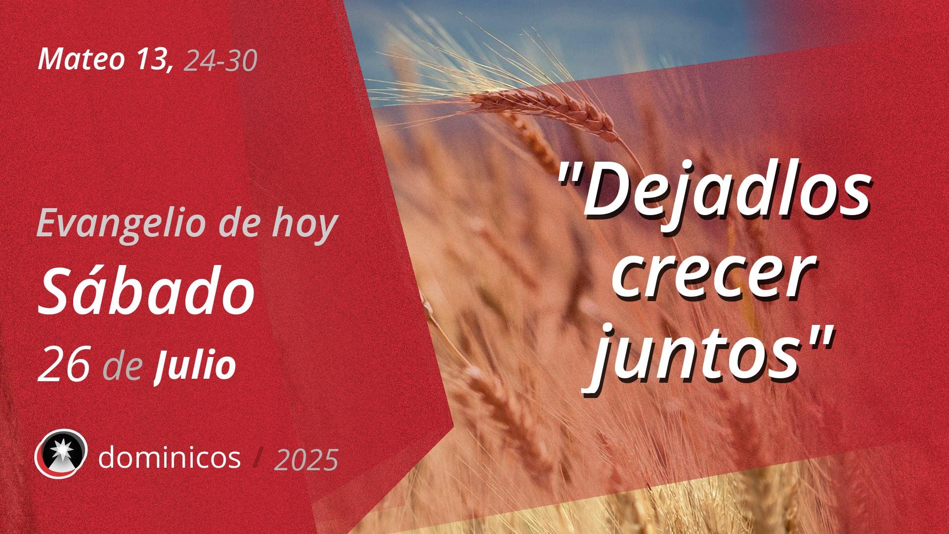 Evangelio de hoy en vídeo