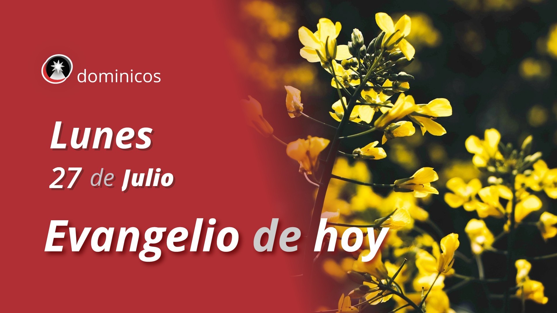 Evangelio de hoy en vídeo