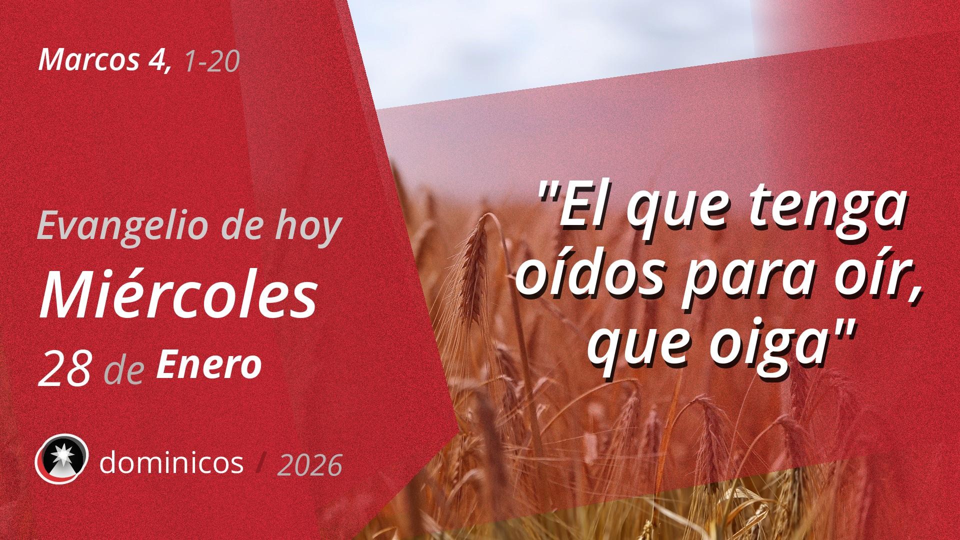 Evangelio de hoy en vídeo