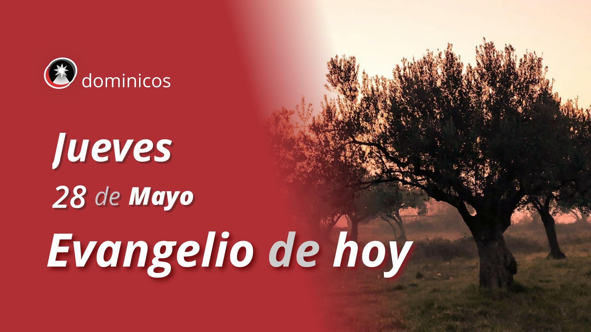 Evangelio de hoy en vídeo