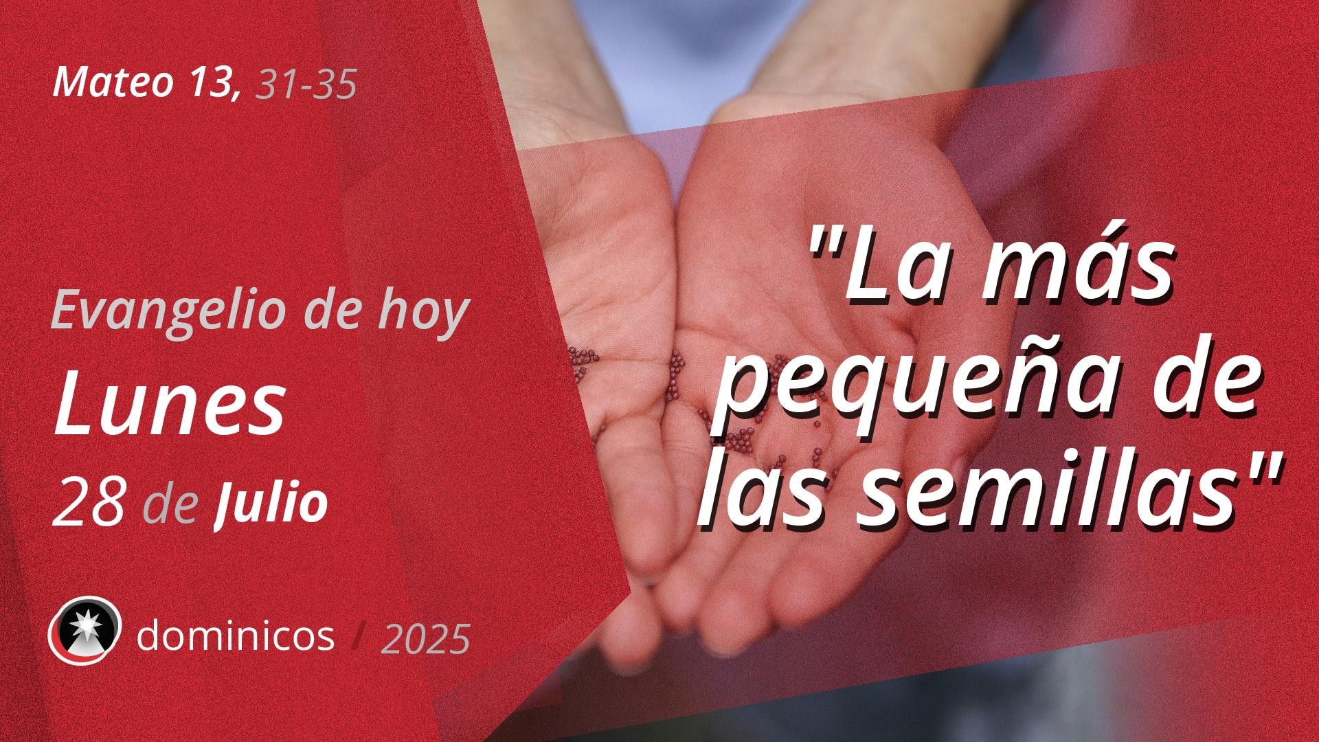Evangelio de hoy en vídeo