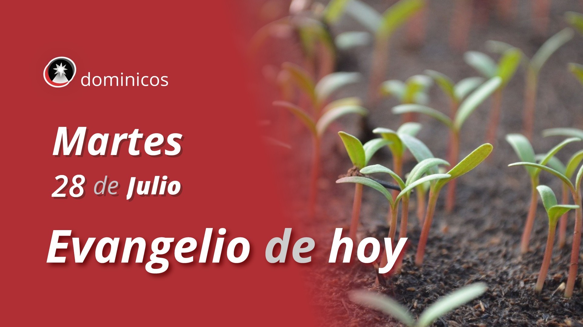 Evangelio de hoy en vídeo