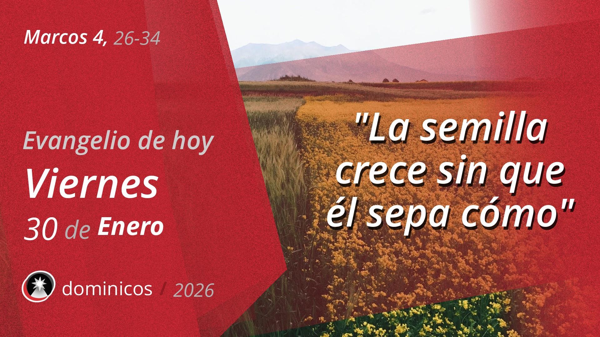 Evangelio de hoy en vídeo