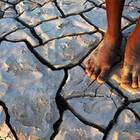 Norte - Sur: Radiografía de una dependencia