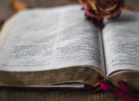 El que cree en el Hijo posee la vida eterna