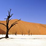 Para vivir la rebelión interior