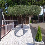 parque infantil el vedat 2