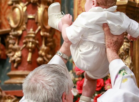 Mirad que está llegando