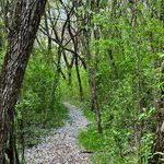 Sermón 13 La oración Mistica renana