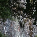 Sermón para el Viernes Santo Mistica renana