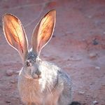 silencio capacidad escucha