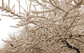 El viaje hacia dentro