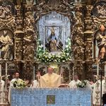 virgen camino 2026 1