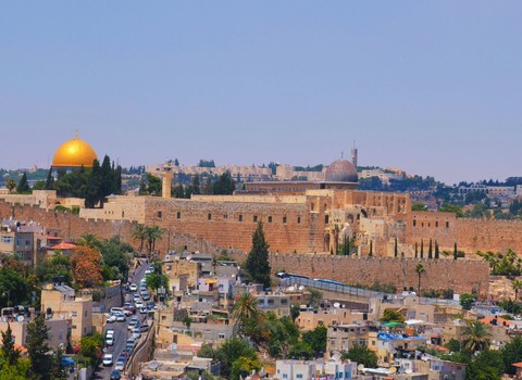 ¡Si reconocieras lo que conduce a la paz!