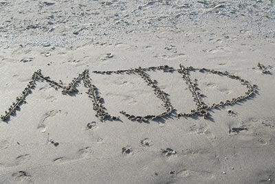 Asamblea electiva del MJD en Valencia 1367